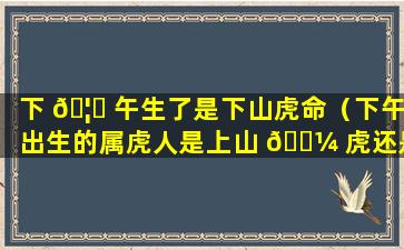 下 🦉 午生了是下山虎命（下午出生的属虎人是上山 🐼 虎还是）